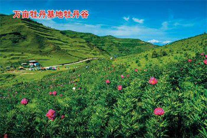 微信图片_20180613094447.jpg 微信图片_20180613094447.jpg